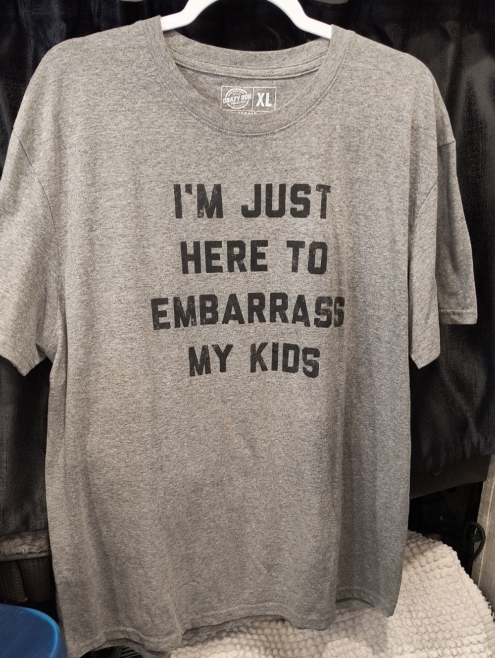 Crazy Dog Men's XL Gray Graphic Tee - "I'm Just Here to Embarrass My Kids"